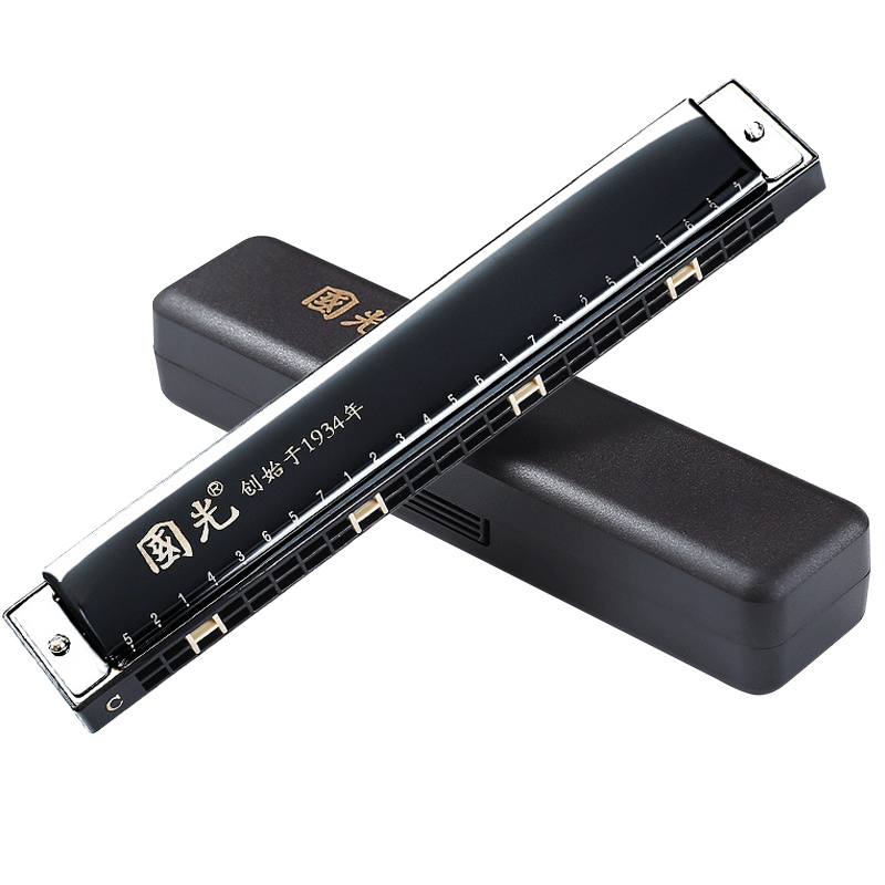 Harmonica 10 Hole - Guoguang Tremolo 하모니카 24 홀 C