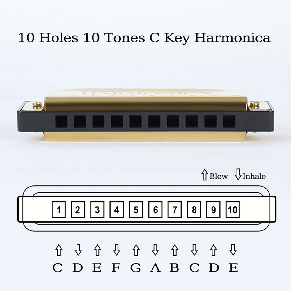 10홀 C 하모니카 블루스 하프 마우스 오르간 인광 청 - Harmonica 10 Hole 리뷰 및 가격