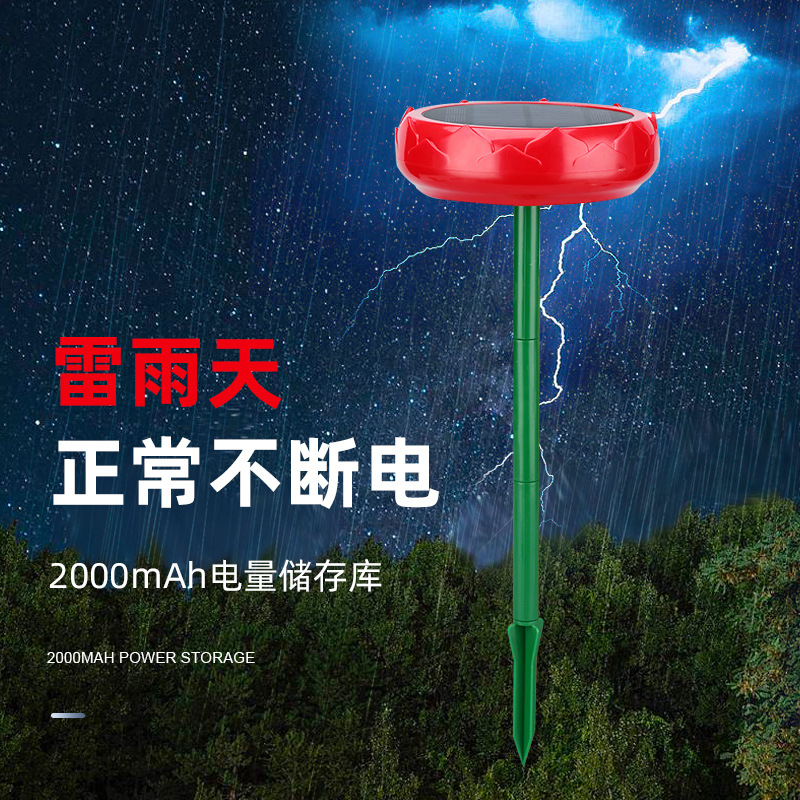 휴대용 야외 블루투스 스피커 태양광 자동 충전 방수 방 - Audio Visualizer Music Player 리뷰 및 가격