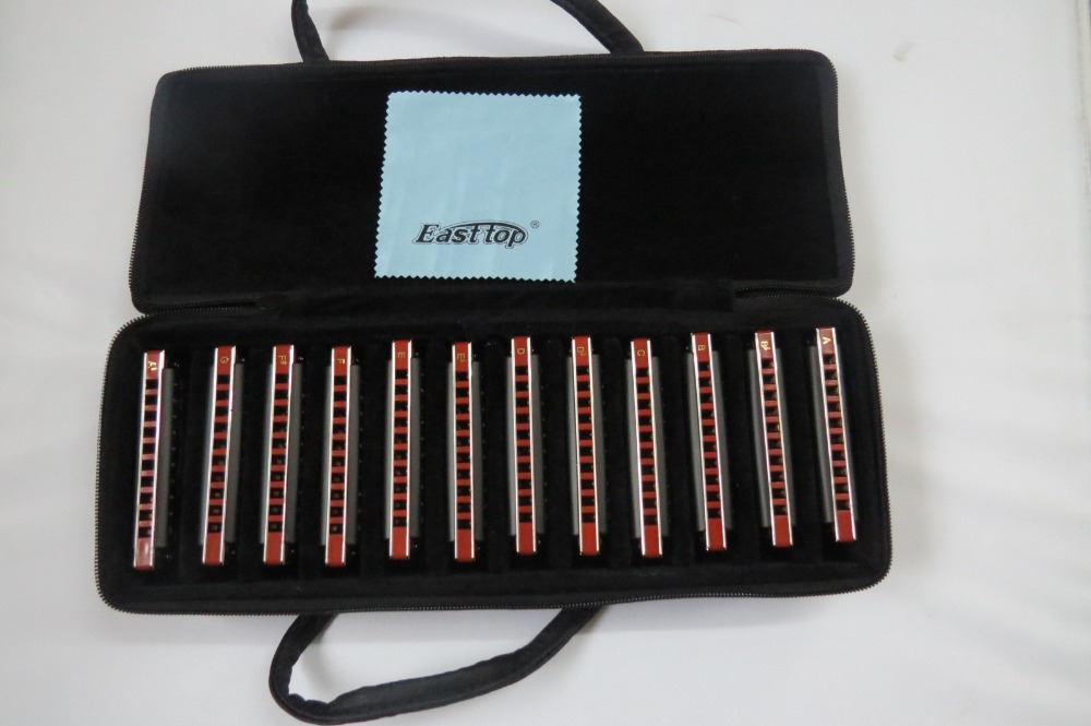 EASTTOP 블루스 하프 마우스 오르간 T008K 1 - Harmonica 10 Hole 리뷰 및 가격