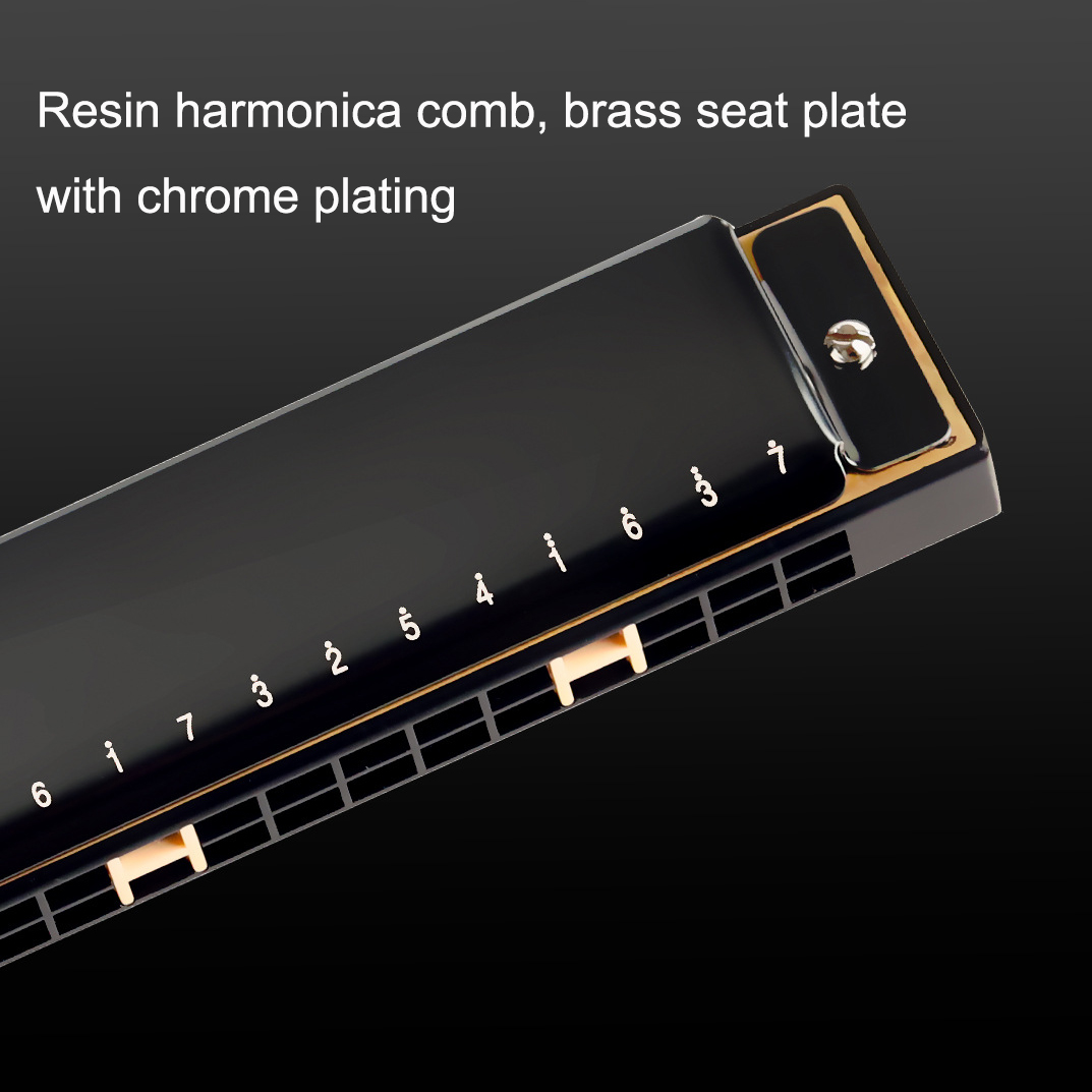 Guoguang Tremolo 하모니카 24 홀 C 입 - Harmonica 10 Hole 리뷰 및 가격