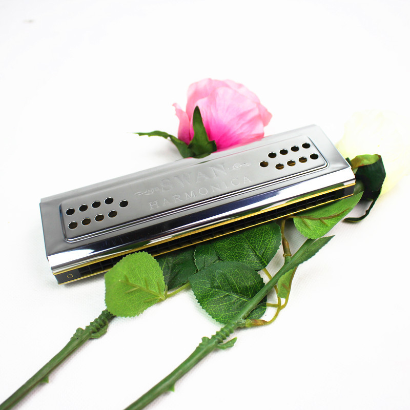 양면 백조 하모니카 트레몰로 C 및 G 키 24 홀 더 - Harmonica 10 Hole 리뷰 및 가격