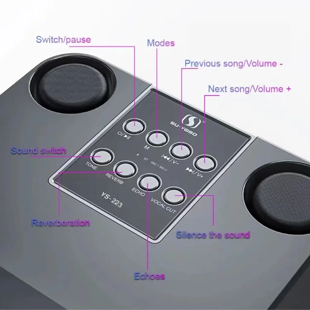 휴대용 블루투스 스피커, 무선 마이크 2개 포함, 노래 - Audio Music Kids 리뷰 및 가격